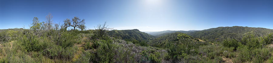 View From A Knoll On Pacheco Ridge Road