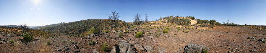 Burned Chaparral Area On Pacheco Ridge