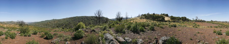 Burned Chaparral Area On Pacheco Ridge