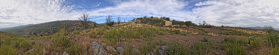 Burned Chaparral Area On Pacheco Ridge