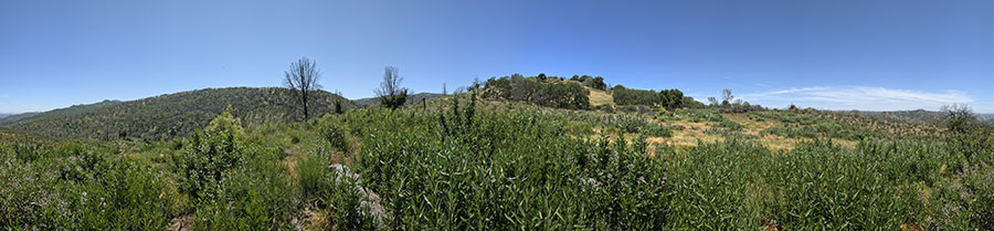 Burned Chaparral Area On Pacheco Ridge