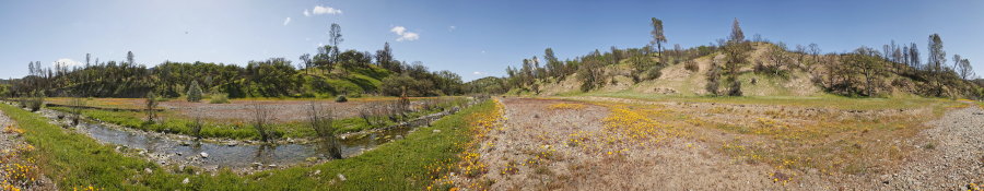 Red Creek Near Robison Creek Trail Junction