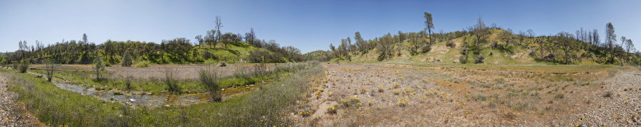 Red Creek Near Robison Creek Trail Junction