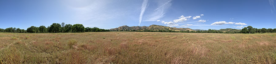 South East End Of Paradise Flat