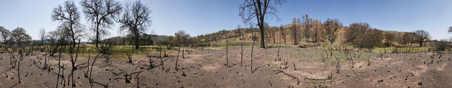 Along Ridge North Of Robison Creek