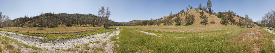 Along Robison Creek Trail