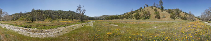 Along Robison Creek Trail