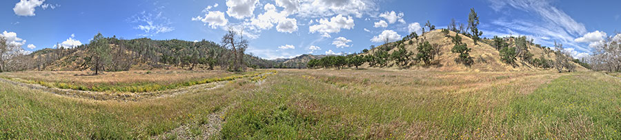 Along Robison Creek Trail
