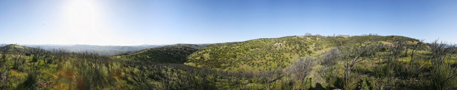 County Line Road South Of Hartman Trail