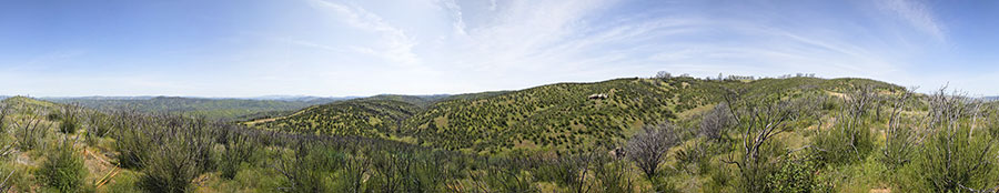 County Line Road South Of Hartman Trail