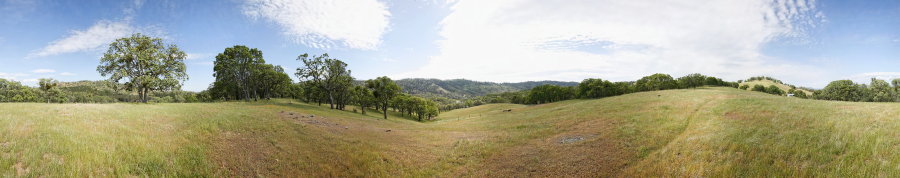 County Line Road South Of Hartman Trail 